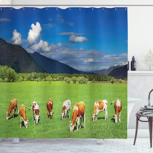 ABAKUHAUS Das Vieh Duschvorhang, Berge weidende Kühe, Stoffliches Gewebe Badezimmerdekorationsset mit Haken, 175 x 220 cm, Mehrfarbig von ABAKUHAUS
