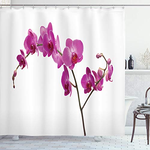 ABAKUHAUS Duschvorhang, Wilde Orchideen Blütenblätter Floral AST Romantische Blume Exotisch Pflanze Natur Kunstdruck, Blickdicht aus Stoff, Umweltfreundlich Waschbar, 175 X 200 cm, Violett ABAKUHAUS Duschvorhang, Wilde Orchideen Blütenblätter Floral AST Romantische Blume Exotisch Pflanze Natur Kunstdruck, Blickdicht aus Stoff, Umweltfreundlich Waschbar, 175 X 200 cm, Violett von ABAKUHAUS