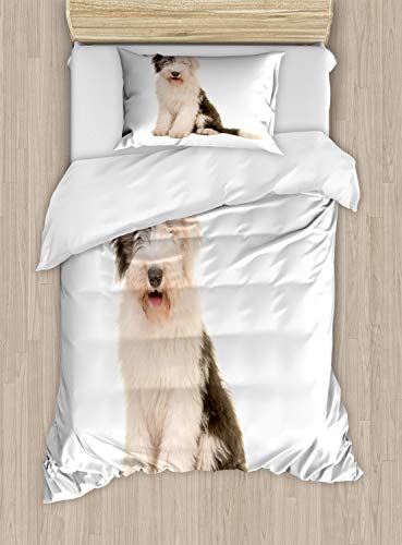 ABAKUHAUS Englisch Sheepdog Bettbezug Set Einzelbett, Sitzen Bobtail, Top Qualität Weich und Warm 3 Teiligen Bettbezug mit 2 Kissenbezüge, Taupe ABAKUHAUS Englisch Sheepdog Bettbezug Set Einzelbett, Sitzen Bobtail, Top Qualität Weich und Warm 3 Teiligen Bettbezug mit 2 Kissenbezüge, Taupe von ABAKUHAUS