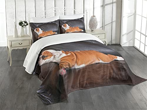 ABAKUHAUS Englische Bulldogge Tagesdecke Set, Resting Welpen, Set mit Kissenbezügen Waschbar, für Einzelbetten 170 x 220 cm, Kamel Braun von ABAKUHAUS