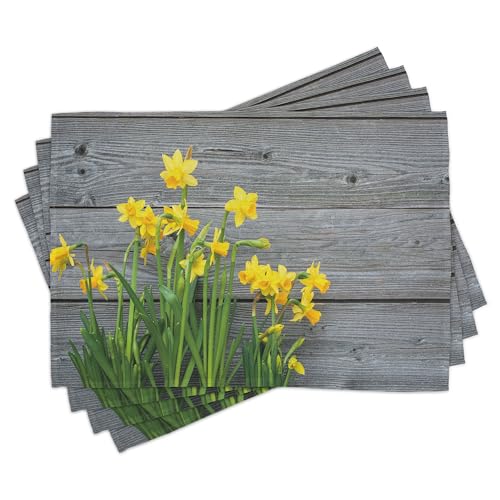 ABAKUHAUS Gelbe Blume Platzmatten 8 Stück, Blumenstrauß von Narzissen auf den hölzernen Planken, die rustikales Land-Leben-Thema im Garten Arbeiten, Gelb Blaugrau ABAKUHAUS Gelbe Blume Platzmatten 8 Stück, Blumenstrauß von Narzissen auf den hölzernen Planken, die rustikales Land-Leben-Thema im Garten Arbeiten, Gelb Blaugrau von ABAKUHAUS