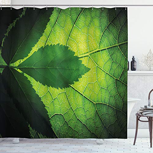 ABAKUHAUS Blätter Duschvorhang, Brazilian Baum Blatt Eco, Stoffliches Gewebe Badezimmerdekorationsset mit Haken, 175 x 200 cm, Olive und Dunkelgrün von ABAKUHAUS