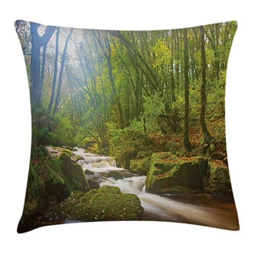 ABAKUHAUS Grün Kissenbezug, Wald in Golitha Falls, Dekokissenhüllen Waschbar Inn/Outdoor Beidseitiger Druck mit Reißverschluß, 50 x 50 cm, Grün Hellbraun von ABAKUHAUS