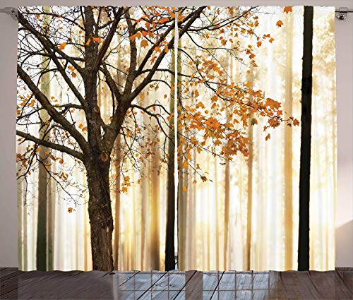 ABAKUHAUS Herbst Rustikaler Vorhang, Baum im abstrakten Holz, Wohnzimmer Universalband Gardinen mit Schlaufen und Haken, 280 x 245 cm, Orange Braun von ABAKUHAUS