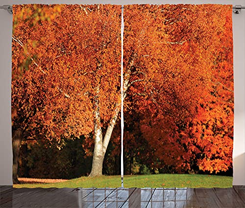 ABAKUHAUS Herbst Rustikaler Vorhang, Baum in der Fall-Farben, Wohnzimmer Universalband Gardinen mit Schlaufen und Haken, 280 x 175 cm, Burnt Orange Olivgrün von ABAKUHAUS