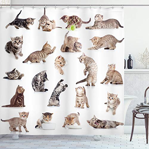 ABAKUHAUS Katze Duschvorhang, Lustige Spielerische Katzen Bild, Stoffliches Gewebe Badezimmerdekorationsset mit Haken, 175 x 200 cm, Braun Schwarz Weiß von ABAKUHAUS