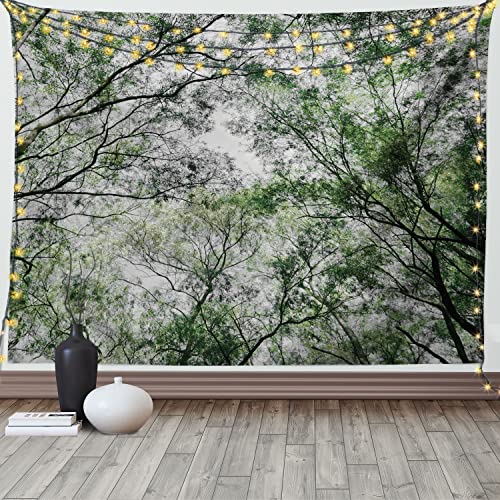 ABAKUHAUS Landschaft Wandteppich, Frühlings-Saison-Dschungel, Wohnzimmer Schlafzimmer Heim Seidiges Satin Wandteppich, 150 x 100 cm, Grün von ABAKUHAUS