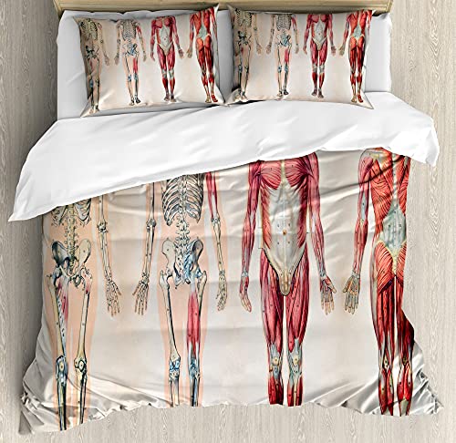 ABAKUHAUS Menschliche Anatomie Bettbezug Set für Einzelbetten, Anatomie Menschlicher Körper, Milbensicher Allergiker geeignet mit Kissenbezug, 230 x 220 cm - 70 x 50 cm, Ruby-Creme von ABAKUHAUS