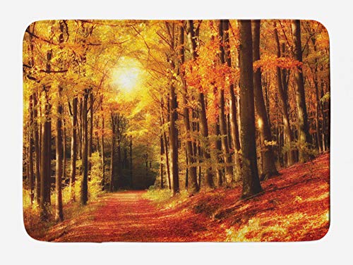 ABAKUHAUS Natur Badematte, Fall-Bäume bei Sonnenuntergang Woods, Plüsch Badezimmer Dekor Matte mit Rutschfester Rückseite, 45 cm x 75 cm, Orange und Gelb von ABAKUHAUS