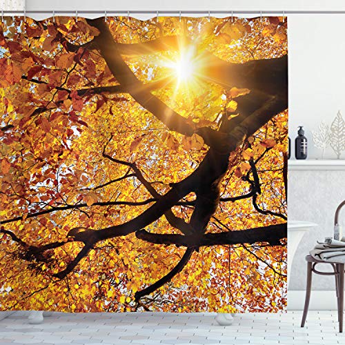 ABAKUHAUS Natur Duschvorhang, Sonne im Oktober Ernte, Stoffliches Gewebe Badezimmerdekorationsset mit Haken, 175 x 200 cm, Orange von ABAKUHAUS