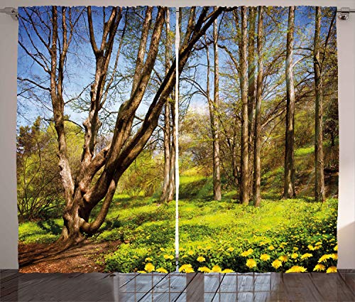 ABAKUHAUS Natur Rustikaler Gardine, Frühlingswaldblumen, Schlafzimmer Kräuselband Vorhang mit Schlaufen und Haken, 280 x 245 cm, Braun Blau von ABAKUHAUS