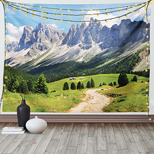 ABAKUHAUS Natur Wandteppich und Tagesdecke, Pathway to Wald Alpen aus Weiches Mikrofaser Stoff Waschbar ohne Verblassen Digitaldruck, 230 x 140 cm, Grün Weiß Blau von ABAKUHAUS