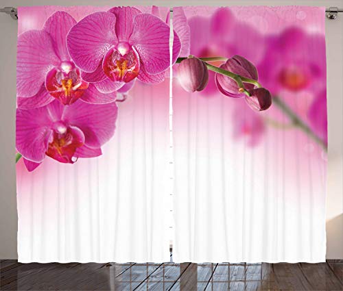 ABAKUHAUS Orchidee Rustikaler Gardine, Exotische Orchid Feng Shui, Schlafzimmer Kräuselband Vorhang mit Schlaufen und Haken, 280 x 245 cm, Magenta Rosa von ABAKUHAUS