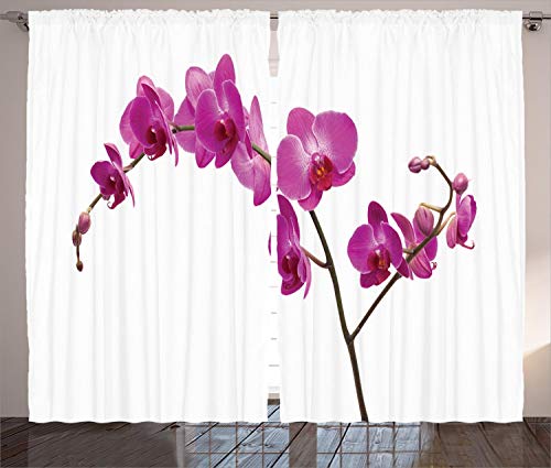 ABAKUHAUS Orchideen Rustikaler Gardine, Wilde Orchideen Petals, Schlafzimmer Kräuselband Vorhang mit Schlaufen und Haken, 280 x 225 cm, Violett von ABAKUHAUS