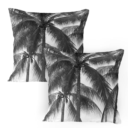 ABAKUHAUS Palme Kissenbezug Packung mit 2, Palmen-Baum-Schattenbild-exotische Anlage auf den dunklen Thema-Blättern, die im Natur-Bild Sich entspannen, Gedruckter Kissenbezug, 80 x 80 cm, Schwarz von ABAKUHAUS