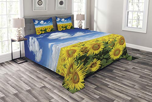 ABAKUHAUS Sonnenblume Tagesdecke Set, Frische Feld Land, Set mit Kissenbezügen Mit Digitaldruck, für Doppelbetten 220 x 220 cm, Gelb Grün Blau von ABAKUHAUS