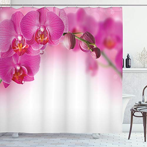 ABAKUHAUS Orchidee Duschvorhang, Exotische Orchid Feng Shui, Stoffliches Gewebe Badezimmerdekorationsset mit Haken, 175 x 220 cm, Mehrfarbig von ABAKUHAUS