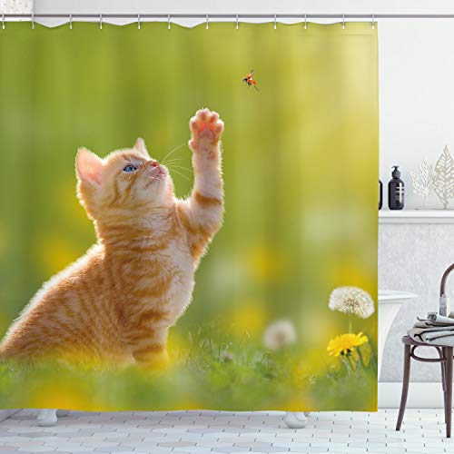 ABAKUHAUS Tier Duschvorhang, Marienkäfer-Katzen Löwenzahn, Stoffliches Gewebe Badezimmerdekorationsset mit Haken, 175 x 200 cm, Erde Gelb Hellgrün ABAKUHAUS Tier Duschvorhang, Marienkäfer-Katzen Löwenzahn, Stoffliches Gewebe Badezimmerdekorationsset mit Haken, 175 x 200 cm, Erde Gelb Hellgrün von ABAKUHAUS