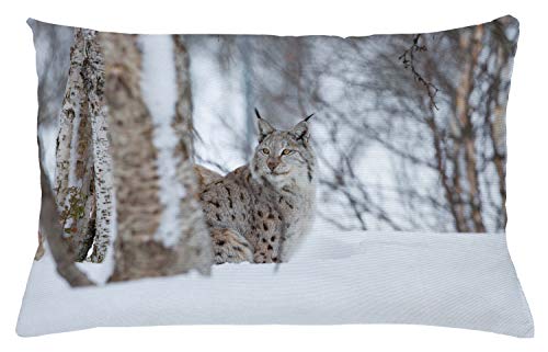 ABAKUHAUS Tier Kissenbezug, Europäische Luchs Wildnis, Wasser und Schmutz resistent Stoff Digital Druck Für den Innen oder Außen Bereich, 65 x 40 cm, Hellbraun Weiß von ABAKUHAUS