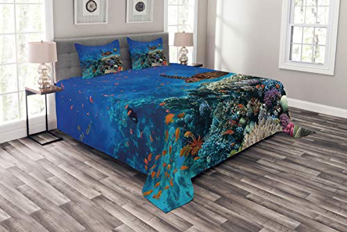 ABAKUHAUS Unterwasser Tagesdecke Set, Tropical Turtle Wasser, Set mit Kissenbezügen Waschbar, für Doppelbetten 220 x 220 cm, Mehrfarbig Blau ABAKUHAUS Unterwasser Tagesdecke Set, Tropical Turtle Wasser, Set mit Kissenbezügen Waschbar, für Doppelbetten 220 x 220 cm, Mehrfarbig Blau von ABAKUHAUS