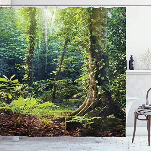 ABAKUHAUS Urwald Duschvorhang, Wilder Efeu auf Bäume, Stoffliches Gewebe Badezimmerdekorationsset mit Haken, 175 x 240 cm, Grün Braun ABAKUHAUS Urwald Duschvorhang, Wilder Efeu auf Bäume, Stoffliches Gewebe Badezimmerdekorationsset mit Haken, 175 x 240 cm, Grün Braun von ABAKUHAUS