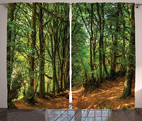 ABAKUHAUS Wald Rustikaler Gardine, Wald Pathway Szene, Schlafzimmer Kräuselband Vorhang mit Schlaufen und Haken, 280 x 225 cm, Braun Grün von ABAKUHAUS