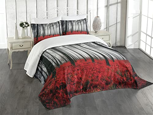 ABAKUHAUS Wald Tagesdecke Set, Mystic Waldbäume, Set mit Kissenbezügen Kein verblassen, für Doppelbetten 220 x 220 cm, Schwarz-rot-Hellgrau von ABAKUHAUS