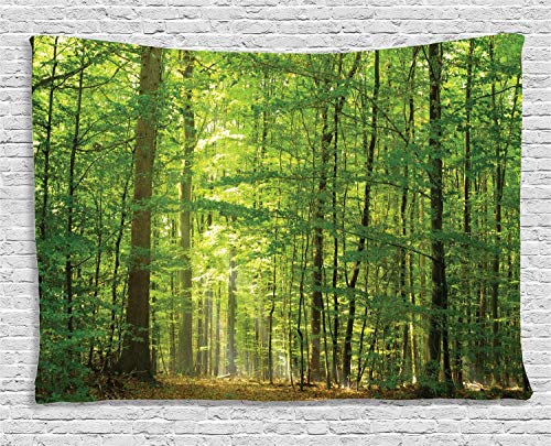 ABAKUHAUS Wald Wandteppich, Laubwald Sommer, Wohnzimmer Schlafzimmer Heim Seidiges Satin Wandteppich, 200 x 150 cm, Grün ABAKUHAUS Wald Wandteppich, Laubwald Sommer, Wohnzimmer Schlafzimmer Heim Seidiges Satin Wandteppich, 200 x 150 cm, Grün von ABAKUHAUS