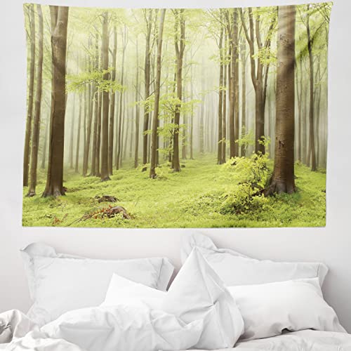 ABAKUHAUS Wald Wandteppich, Misty Frühling Natur aus Weiches Mikrofaser Stoff Waschbar ohne Verblassen Digitaldruck, 150 x 110 cm, Beige Grün von ABAKUHAUS