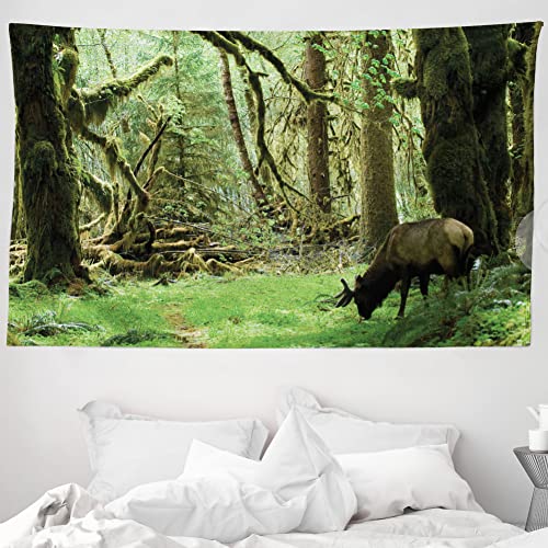 ABAKUHAUS Wald Wandteppich und Tagesdecke, Roosevelt Elk in Park aus Weiches Mikrofaser Stoff Waschbar ohne Verblassen Digitaldruck, 230 x 140 cm, Waldgrün Braun ABAKUHAUS Wald Wandteppich und Tagesdecke, Roosevelt Elk in Park aus Weiches Mikrofaser Stoff Waschbar ohne Verblassen Digitaldruck, 230 x 140 cm, Waldgrün Braun von ABAKUHAUS