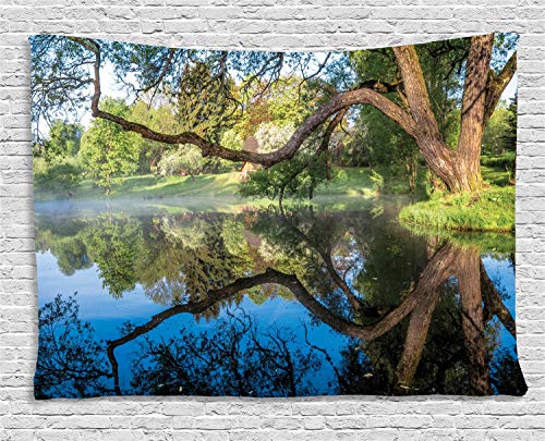 ABAKUHAUS Weidenbaum Wandteppich, Foggy Szene über Wasser, Wohnzimmer Schlafzimmer Heim Seidiges Satin Wandteppich, 200 x 150 cm, Blau Braun Grün von ABAKUHAUS