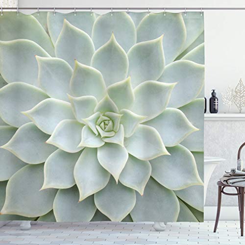 ABAKUHAUS Wüste Duschvorhang, Kaktus-Blumen Foto, Stoffliches Gewebe Badezimmerdekorationsset mit Haken, 175 x 220 cm, Salbeigrün ABAKUHAUS Wüste Duschvorhang, Kaktus-Blumen Foto, Stoffliches Gewebe Badezimmerdekorationsset mit Haken, 175 x 220 cm, Salbeigrün von ABAKUHAUS