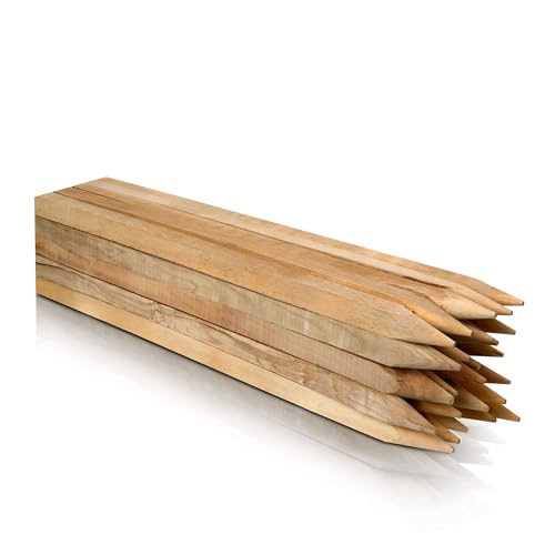 Buchenholz Holzpflöcke & Holzpfähle Quadratisch 25 Stück - Längen 120 cm - Ideal für Zaunpfosten, Zaunpfähle, Baumpfähle und Gartenarbeiten - Robuste Pflanzstäbe 25 mm x 25 mm von ABAZO