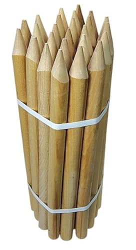 Buchenholz Ovale Holzpflöcke & Holzpfähle 25 Stück – Ideal für Zaunpfosten, Zaunpfähle, Baumpfähle und Gartenarbeiten - Robuste Pflanzstäbe Durchmesser 22mm (60 cm) von ABAZO