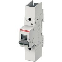 ABB 2CCS861002R1805 S801S-UCB80-R Leitungsschutzschalter 80A 250V von ABB
