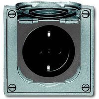 ABB 2CKA002011A3871 Schutzkontakt-Steckdose IP41 Grau von ABB