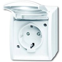 ABB 2CKA002083A0843 Schutzkontakt-Steckdose IP44 Reinweiß (RAL 9010), Weiß von ABB