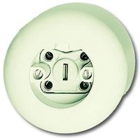ABB 2CKA002550A0028 Schutzkontakt-Steckdose IP20 Perlweiß, Weiß von ABB