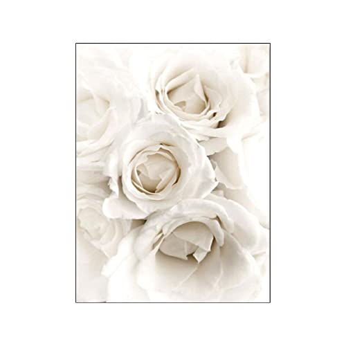 ABCWARRT Frische weiße Blumen Pfingstrose Rosen Wandkunst Leinwand Malerei Poster Elegante Leinwand Malerei Bilder für Wohnzimmer Schlafzimmer Dekor (50 * 70cm Kein Rahmen,9) von ABCWARRT