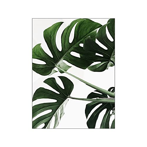 ABCWARRT Grüne Pflanze Malerei Monstera Poster Wandkunst Leinwand Bild Nordic Blätter Kaktus Poster Für Wohnzimmer Schlafzimmer Wohnkultur (40 * 60cm Kein Rahmen,7) von ABCWARRT