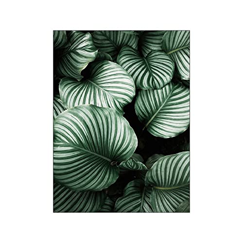 ABCWARRT Grüne Pflanze Malerei Monstera Poster Wandkunst Leinwand Bild Nordic Blätter Kaktus Poster Für Wohnzimmer Schlafzimmer Wohnkultur (50 * 70cm Kein Rahmen,2) von ABCWARRT