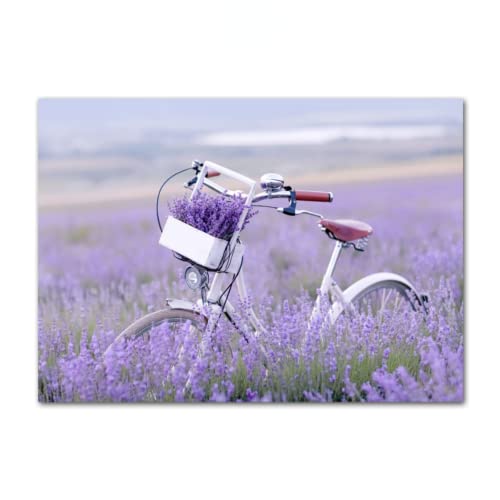 ABCWARRT Moderne Leinwandmalerei Provence Lila Landschaft Lavendel Bild Home Girl Room Poster Decor Kein Rahmen (50 * 70cm kein Rahmen,7) von ABCWARRT