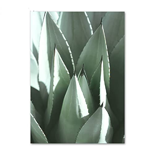 ABCWARRT Nordic Art Poster Tulpe Duftende Blume Grüne Pflanze Agave Monstera Bild Home Wohnzimmer Sofa Wand Dekoration Leinwand Malerei (30 * 40cm Kein Rahmen,2) von ABCWARRT