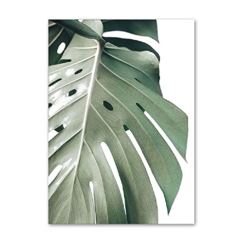 ABCWARRT Nordisches Poster Kaktus Grüne Palmenblätter Jasmin Blume Pflanze Bild Home Wohnzimmer Studie Kunst Leinwand Malerei Dekor Kein Rahmen (20 * 30cm Kein Rahmen,1) von ABCWARRT