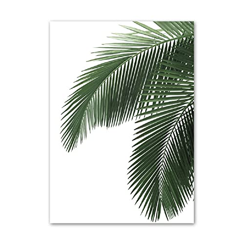 ABCWARRT Nordisches Poster Kaktus Grüne Palmenblätter Jasmin Blume Pflanze Bild Home Wohnzimmer Studie Kunst Leinwand Malerei Dekor Kein Rahmen (20 * 30cm Kein Rahmen,11) von ABCWARRT