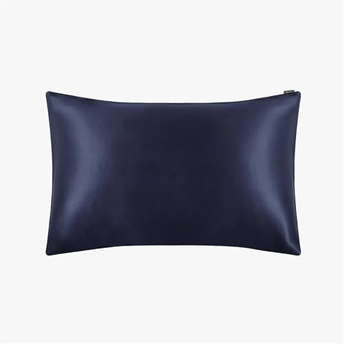 Silk Pillowcase Kissenbezug aus Seide, Beauty Luxury, weiß, 50 x 70 cm, Kingsize, lang, 1 Stück (blau, 01,50 x 70 cm) von ABFJHFK