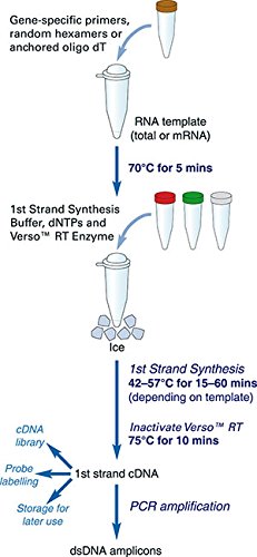 ABGENE 017248 Verso 1-Step Kit ReddyMix, 40 x 50 µL von ABGENE