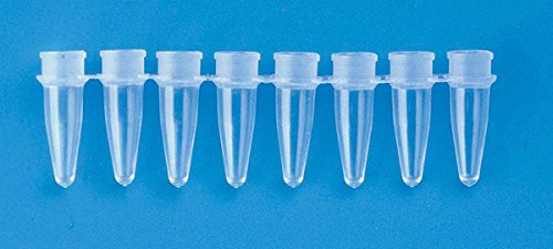 ABGENE 16000C Barrette de 8 microtubes panachés + capuchon ABgene (Pack de 250) von ABGENE