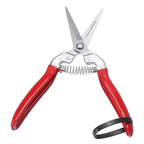 Gartenschere Garten Grasschneider Obstpflückschere Gartenarbeit Bonsai Zweigschere Gartenschere Werkzeuge Edelstahl Gerader Trimmclip von ABNNHK
