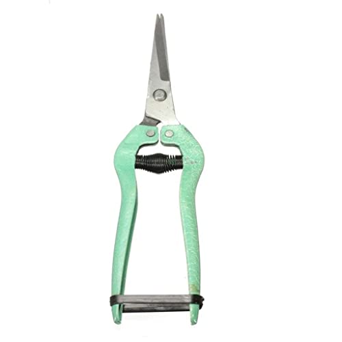 Schere Gartenschere Schere Beschneiden Obstgarten Werkzeug Obst Blume Blatt Trimmer Gartenanlage Gartenbau von ABNNHK